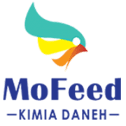 مفید Mofeed
