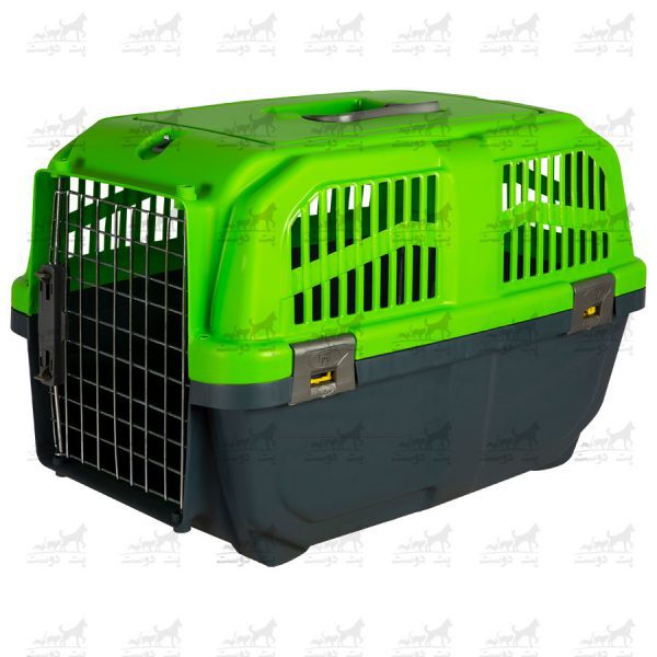 باکس-حمل-حیوانات-خانگی-مدل-پانیتو-سبز