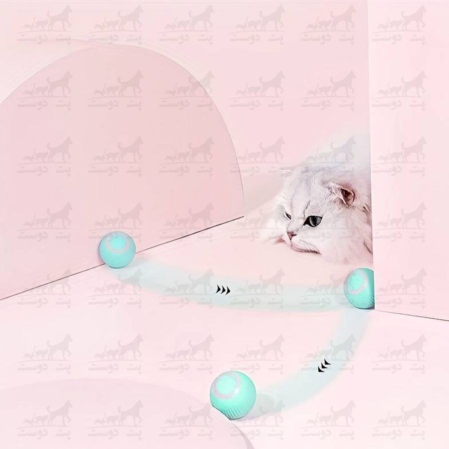 اسباب-بازی-توپ-هوشمند-رباتیک-گربه-مدل-روناک-عکس16