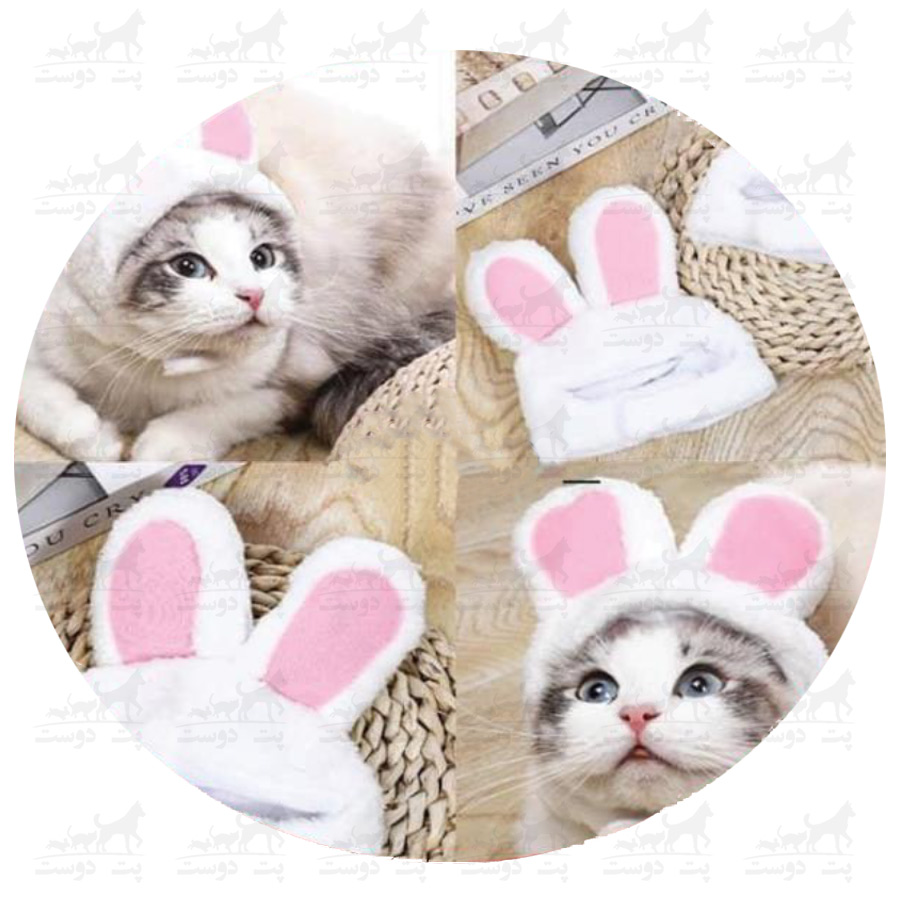 کلاه-مخصوص-گربه-طرح-خرگوش-عکس2